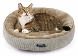 cat bed relax